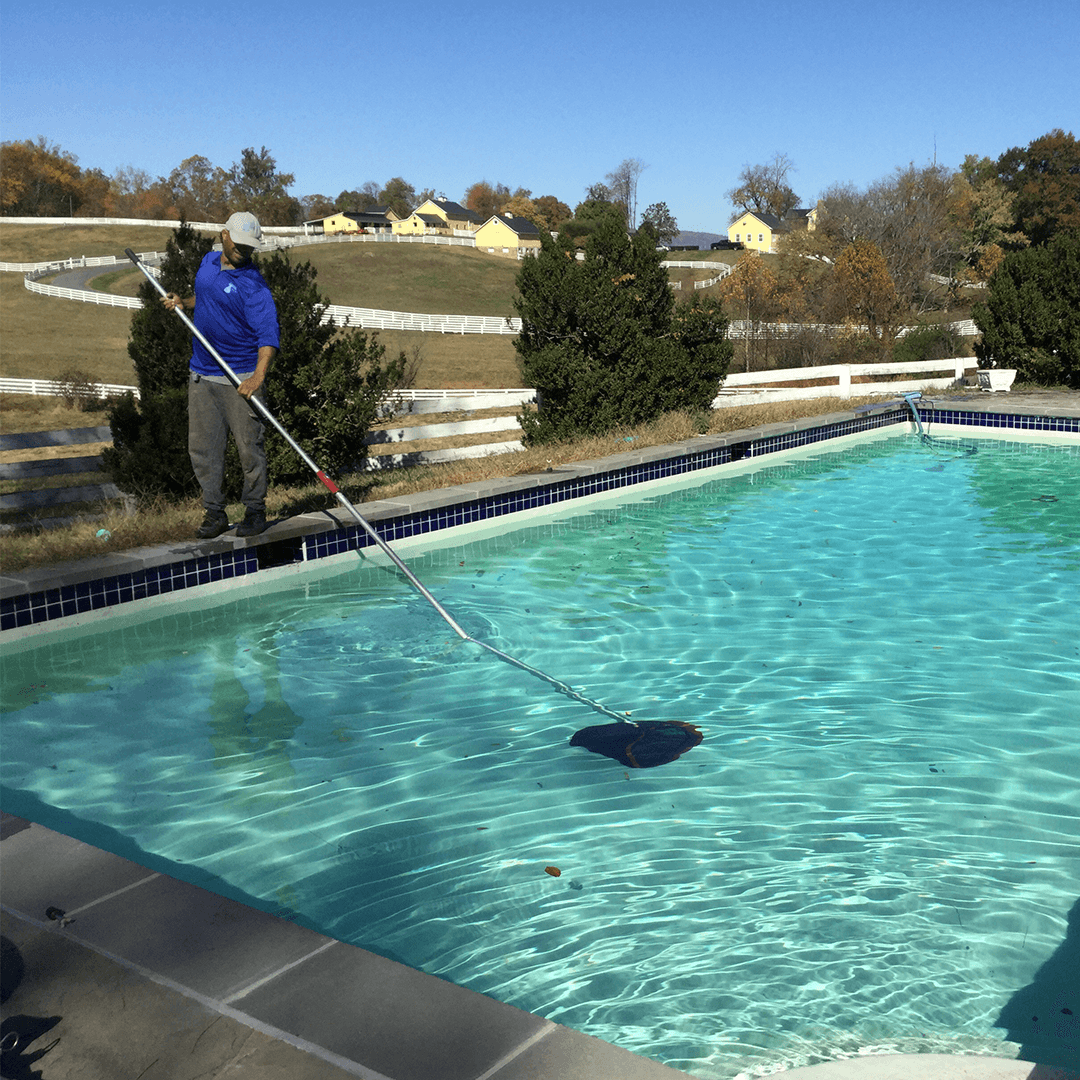 Waterline Aquatics Quality Custom Pool Service