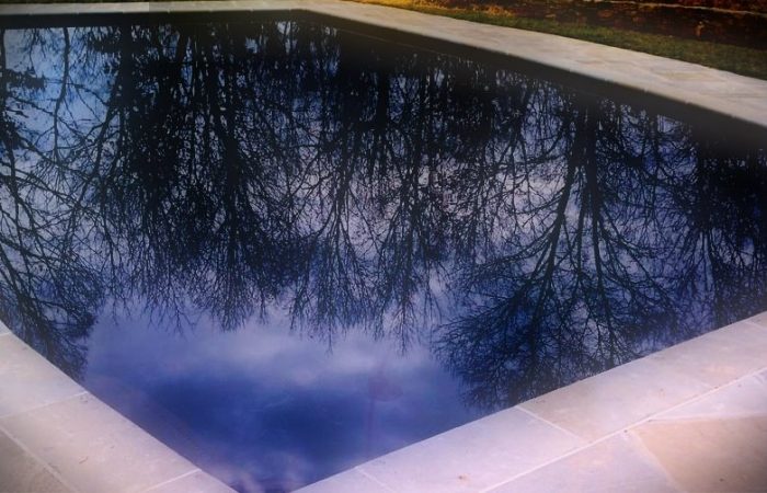 tree reflection